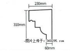 产品分解图型 - 檐口线，型号：SX311-YK-3，规格：230x310mm(3) - 衡阳三象EPS建材 hy.sx311.cc